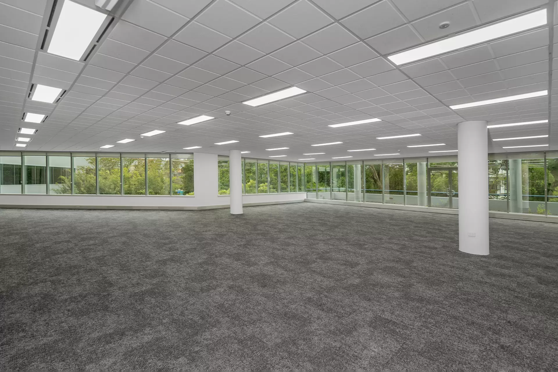 20 Rodborough Rd, Frenchs Forest For Lease by One Commercial - image 1