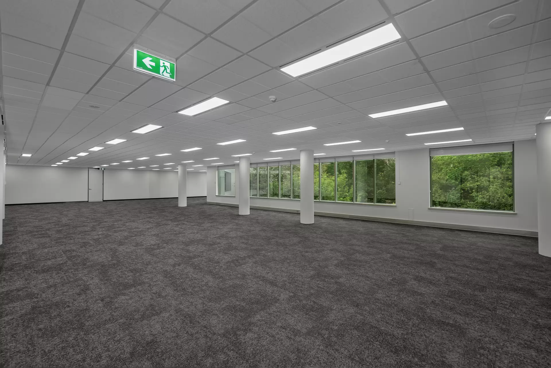 20 Rodborough Rd, Frenchs Forest For Lease by One Commercial - image 1