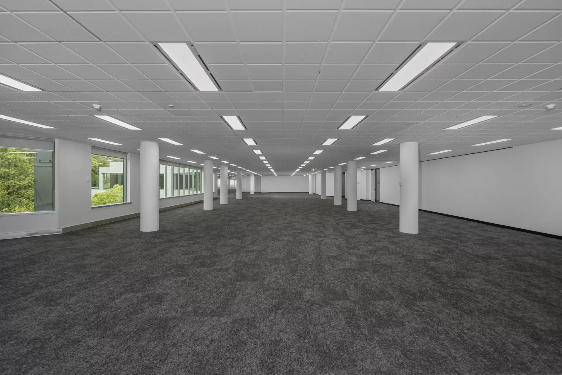 20 Rodborough Rd, Frenchs Forest For Lease by One Commercial - image 1