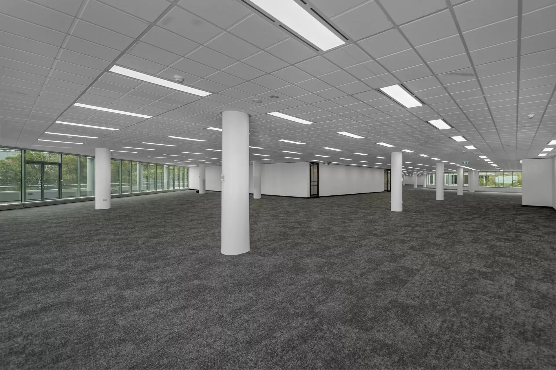20 Rodborough Rd, Frenchs Forest For Lease by One Commercial - image 1
