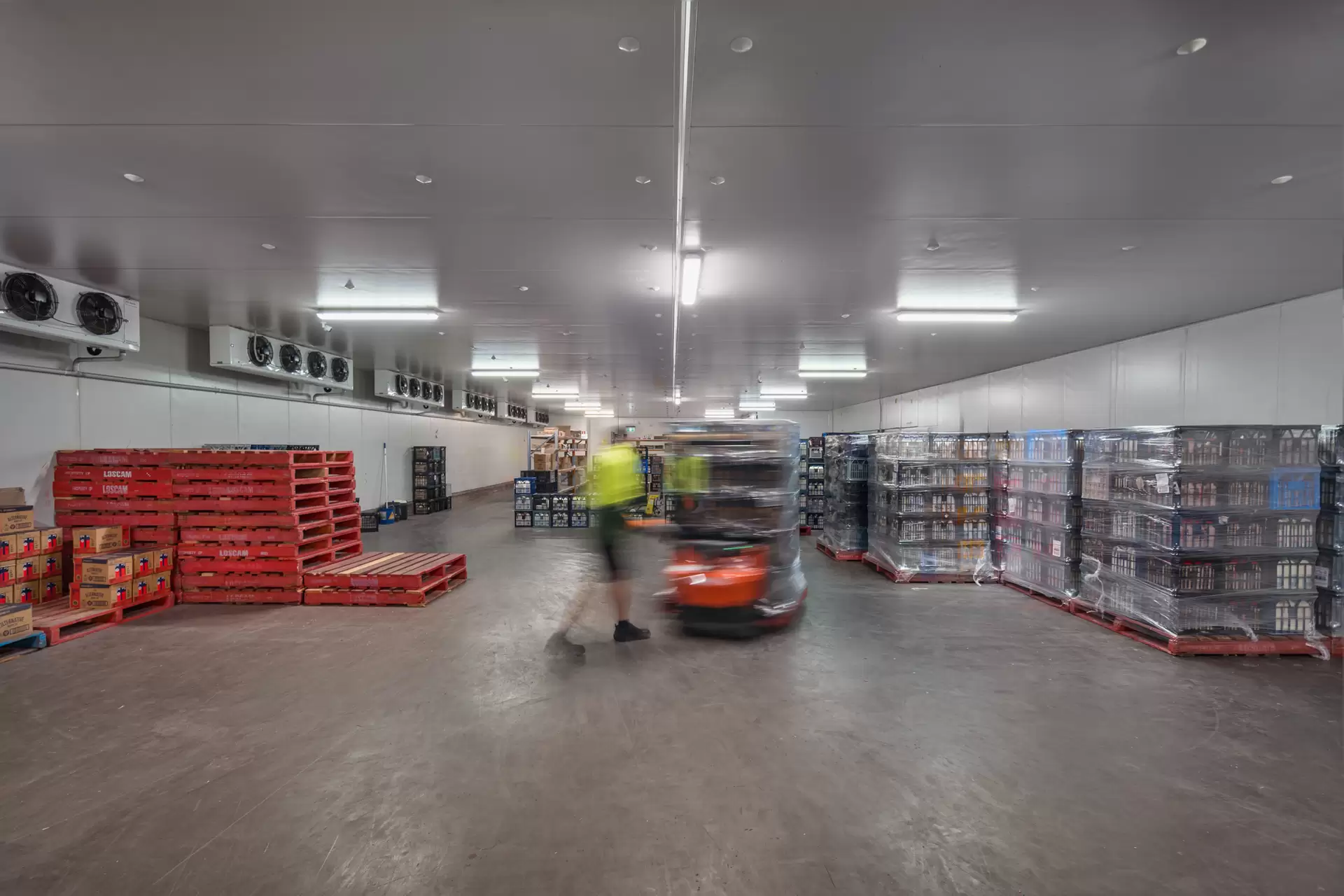Frenchs Forest For Lease by One Commercial - image 1